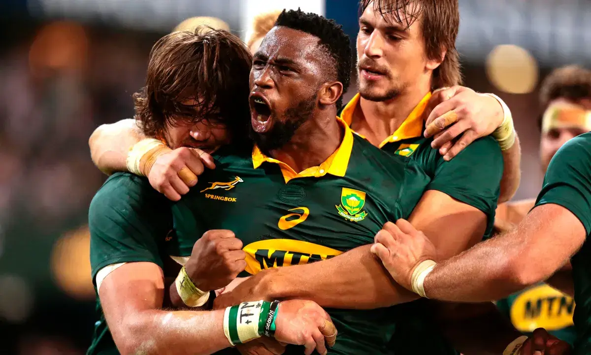 Kolisi in Sprinkbok Uniform celebrating with team mates